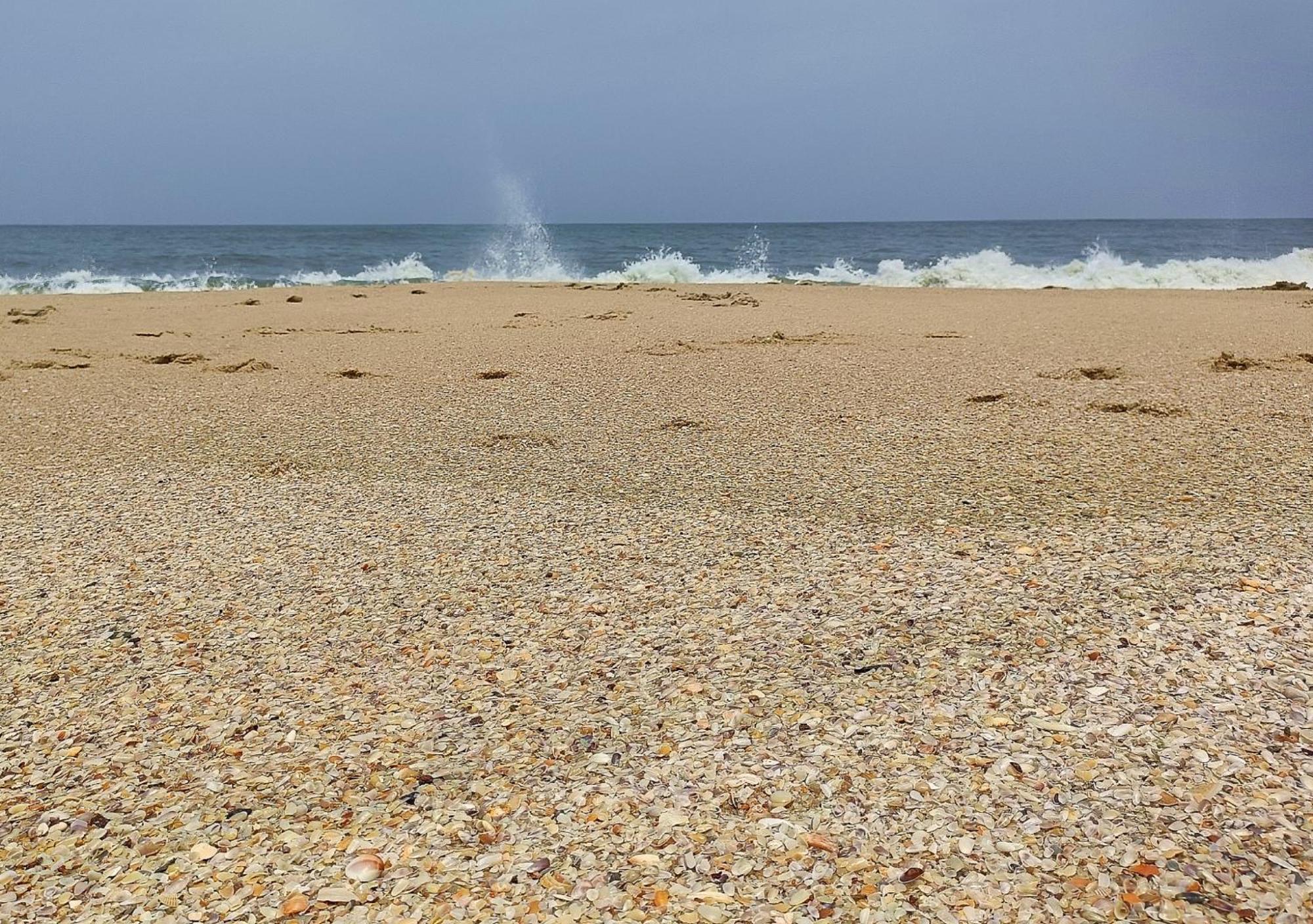 Marari Beach Cleetus Homestay Mararikulam Ngoại thất bức ảnh