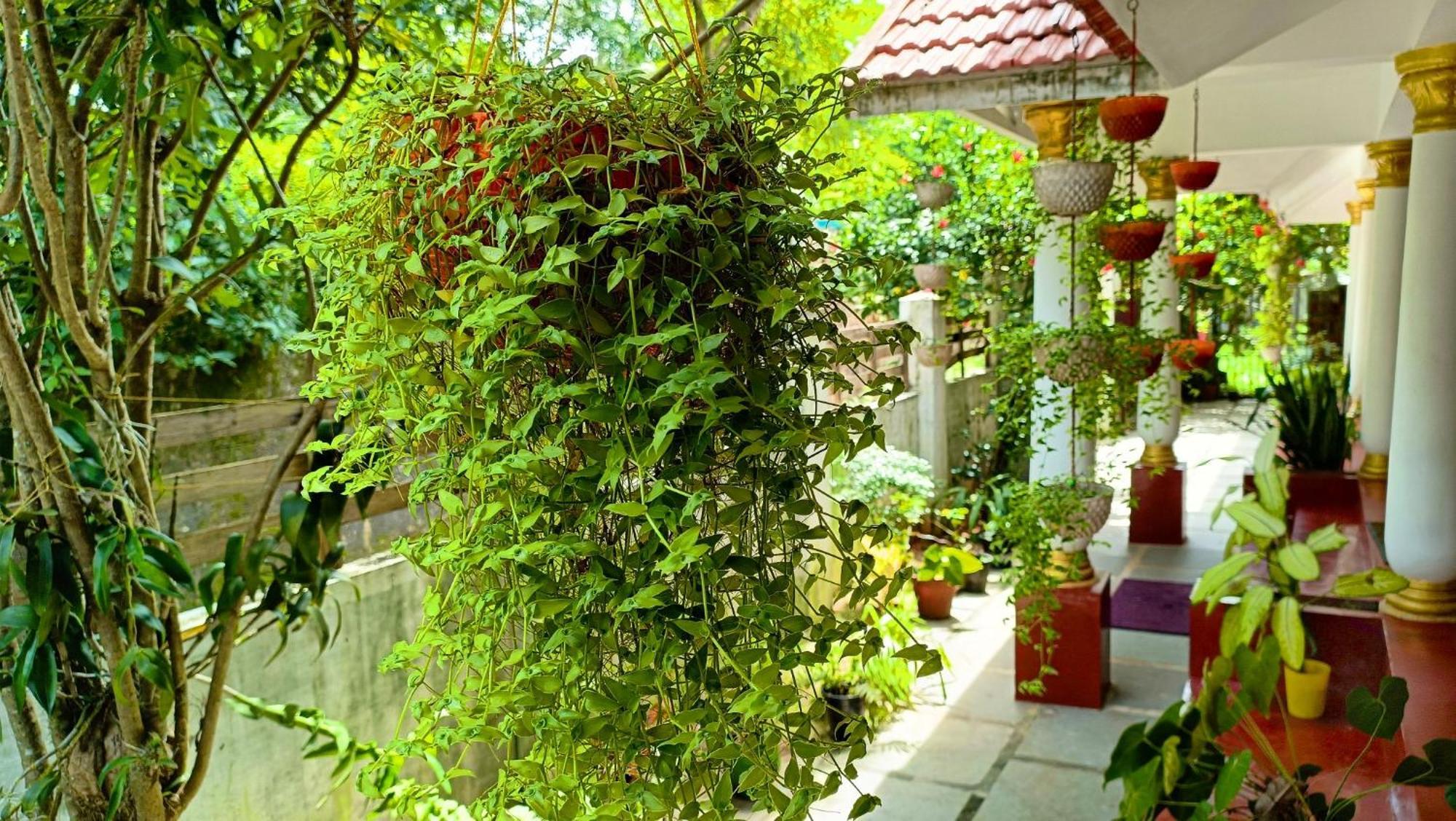 Marari Beach Cleetus Homestay Mararikulam Ngoại thất bức ảnh
